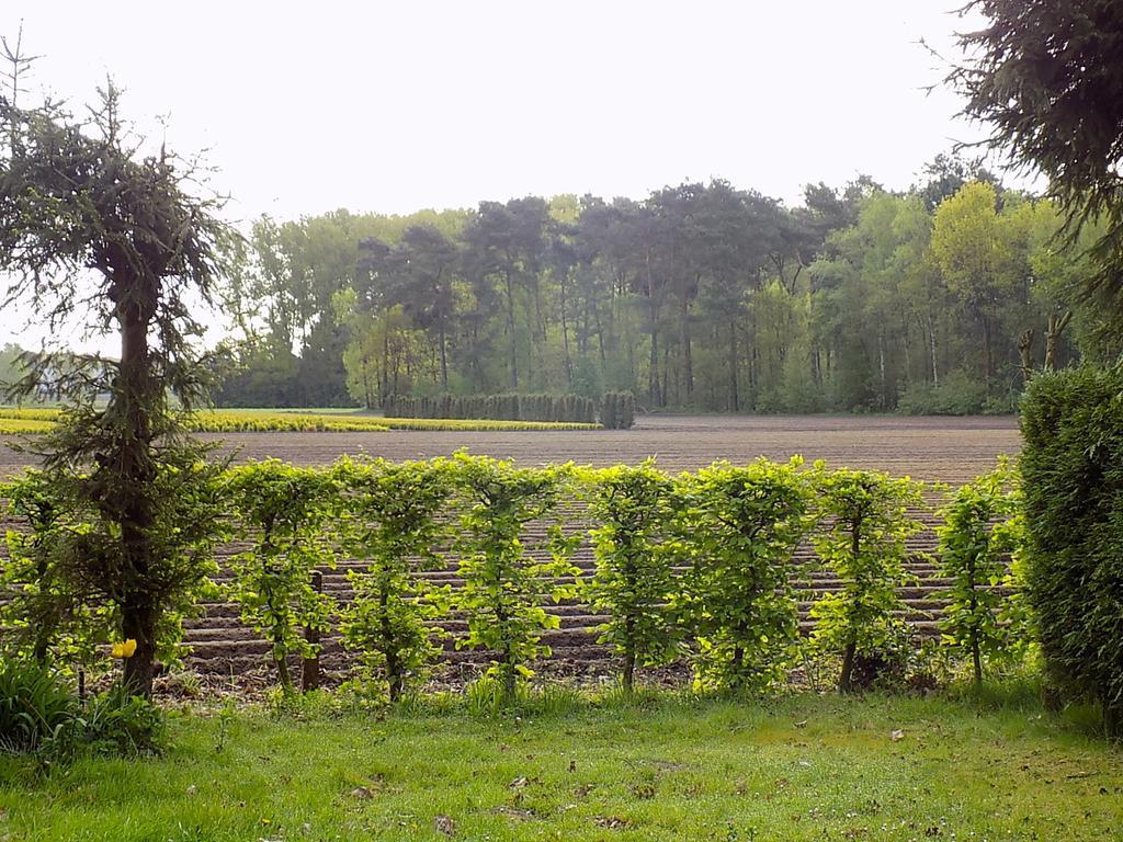 Verblijfpark De Brem Lille Esterno foto