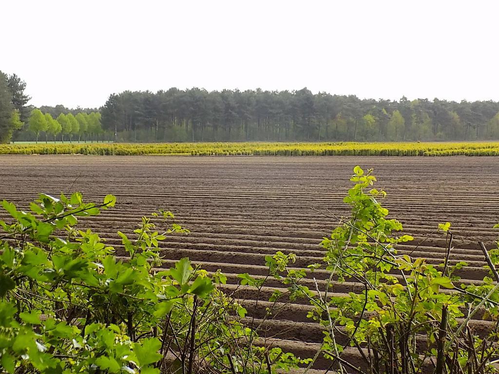 Verblijfpark De Brem Lille Esterno foto